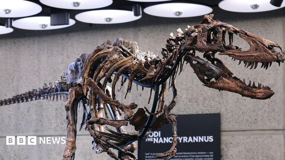 El Nanotyrannus Jodi se vende por 47.3 millones de dólares